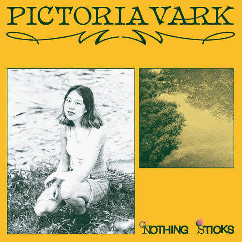 Pictoria Vark: Nothing Sticks - VINYL LP