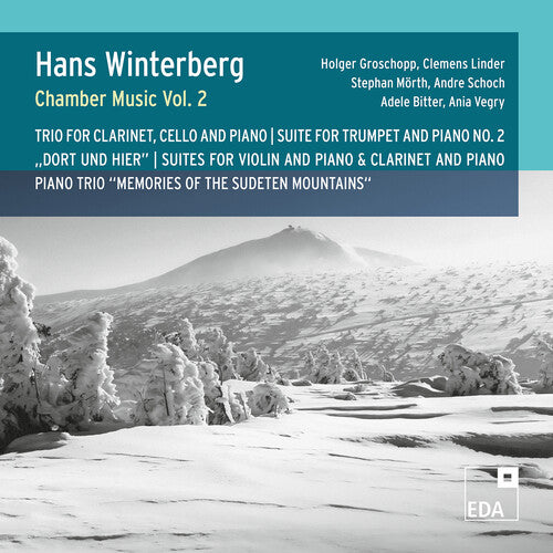 Holger Groschopp: Chamber Music, Vol. 2 - COMPACT DISCS