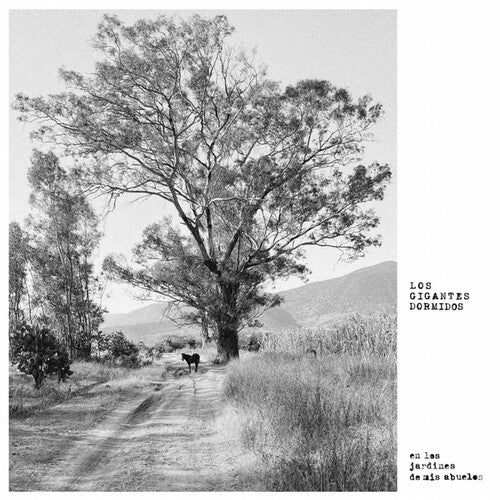 Gigantes Dormidos: Los Jardines De Mis Abuelos - VINYL LP