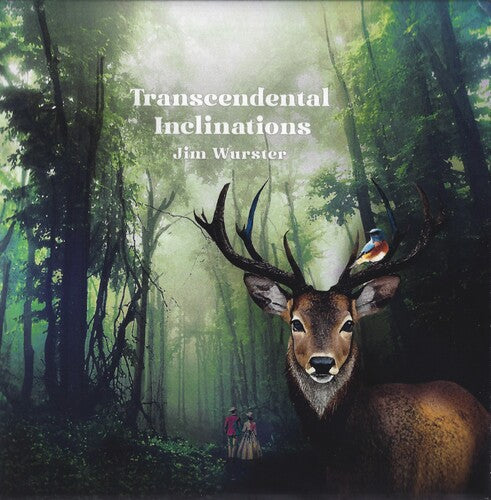 Jim Wurster: Transcendental Inclinations - COMPACT DISCS