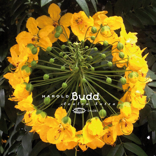 Budd, Harold: Avalon Sutra - VINYL LP
