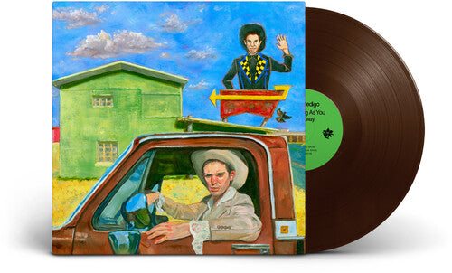 Hayden Pedigo: I'll Be Waving As You Drive Away - VINYL LP