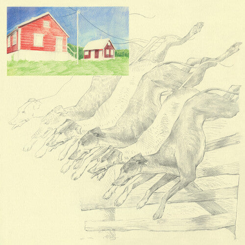 Quickly Quickly: I Heard That Noise - Green - VINYL LP