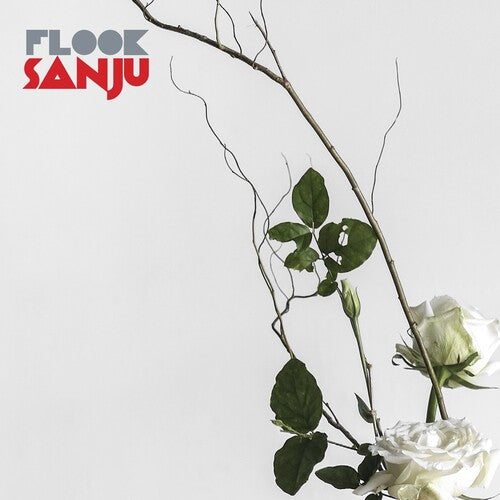 Flook: Sanju - VINYL LP