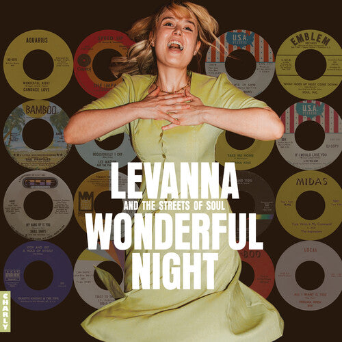 Various Artists: Wonderful Night Curated By Levanna (Various Artists) - VINYL LP