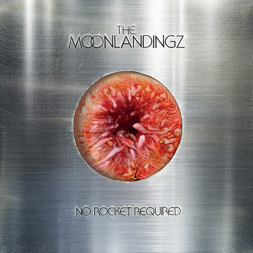 Moonlandingz: No Rocket Required - Pink