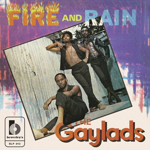 Gayladds: Fire And Rain - VINYL LP