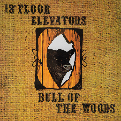 13th Floor Elevators: Bull Of The Woods