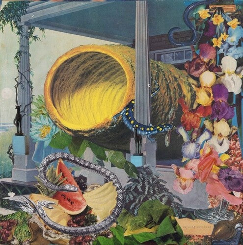 Memotone: Pruning - VINYL LP