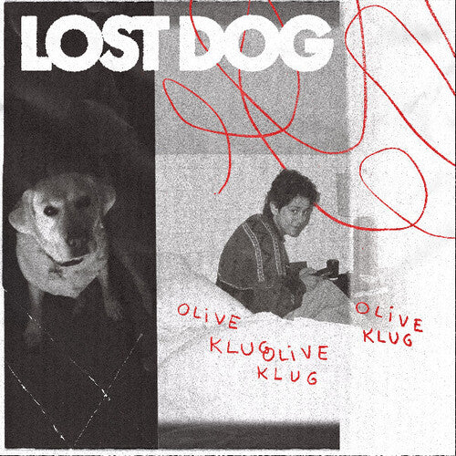 Klug, Olive: Lost Dog