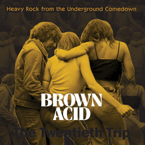 Brown Acid Twentieth Trip / Various: Brown Acid - The Twentieth Trip (Various Artists)