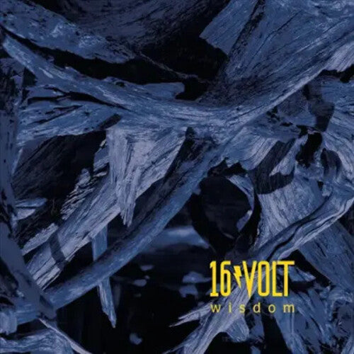 16Volt: Wisdom - VINYL LP