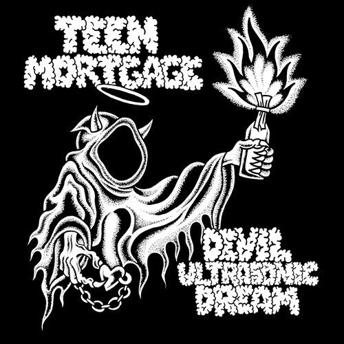 Teen Mortgage: Devil Ultrasonic Dream - VINYL LP