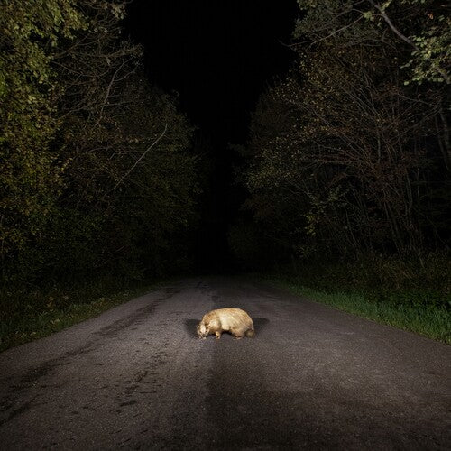 Stonks: Badger
