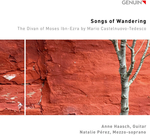 Haasch, Anne: Songs of Wandering