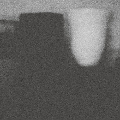 Merzbow: The Prosperity Of Vice, The Misfortune Of Virtue