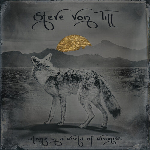 Von Till, Steve: Alone In A World Of Wounds