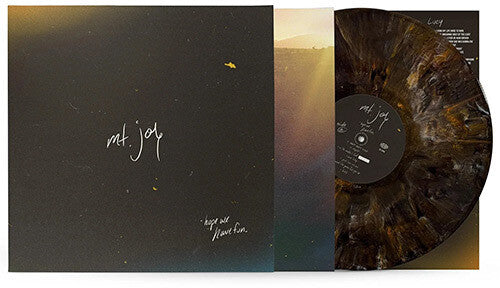 Mt. Joy: Hope We Have Fun - VINYL LP