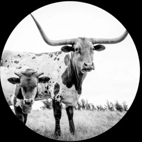 Flanigin, Mike: WEST TEXAS BLUES