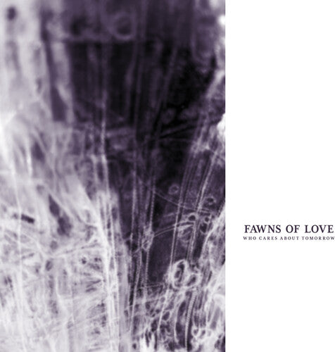 Fawns of Love: Who Cares About Tomorrow