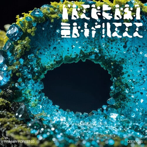 Primary Forest 03 / Various: Primary Forest 03