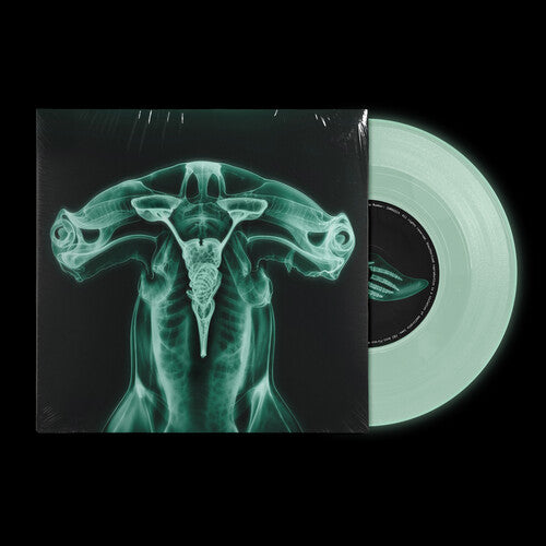 Eartheater & Shygirl: Shark Brain / Dolphin - Glow in the Dark