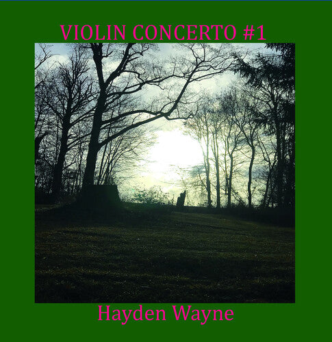Wayne, Hayden: Violin Concerto #1