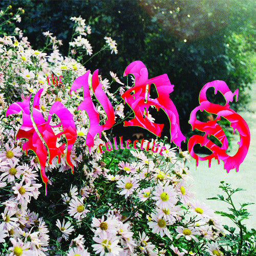 Hirs Collective: We're Still Here - VINYL LP