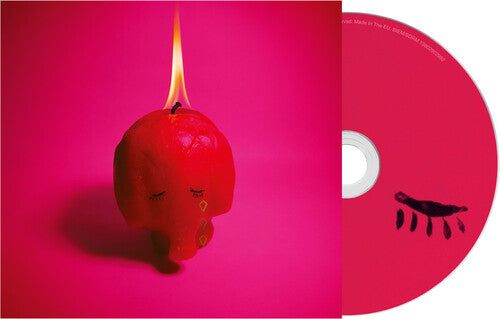 Arcade Fire: Pink Elephant