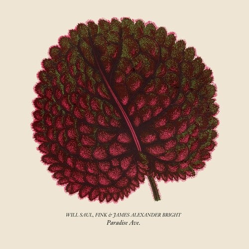 Saul, Will / Fink / Bright, James Alexander: Paradise Ave