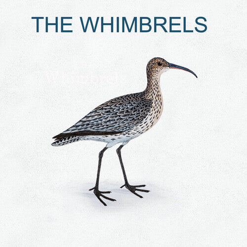 Whimbrels: The Whimbrels