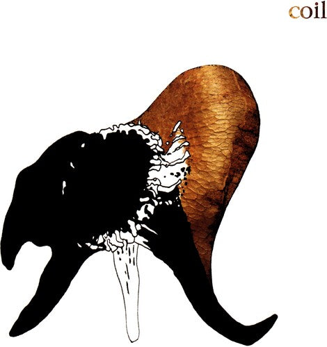 Coil: Black Antlers