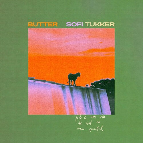 Sofi Tukker: butter - VINYL LP
