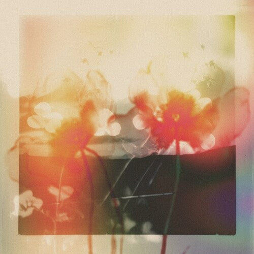 Gyrofield: Akin / Mother