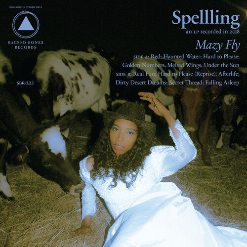 Spelling: Mazy Fly - Blue