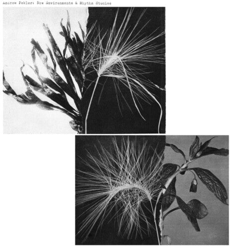Pekler, Andrew: New Environments And Rhythm Studies