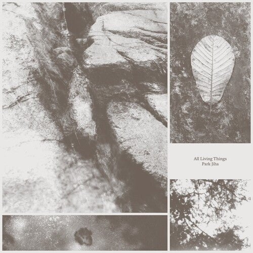 Jiha, Park: All Living Things - COMPACT DISCS