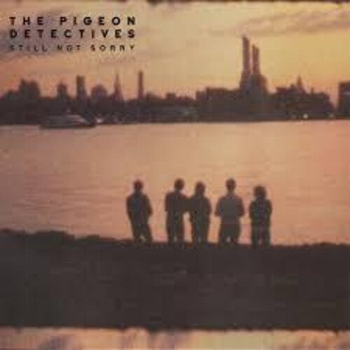 Pigeon Detectives: Still Not Sorry - VINYL LP