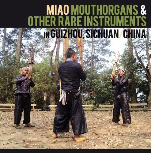 Miao Mouthorgans & Other Rare Instruments in / Var: Miao Mouthorgans And Other Rare Instruments In Guizhou, Sichuan, China
