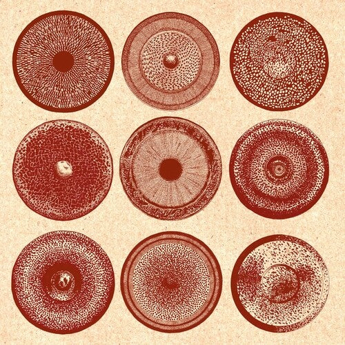 Ensemble Nist-Nah: Spilla - VINYL LP