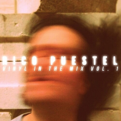 Puestel, Rico: Vinyl In The Mix, Vol. 1 - COMPACT DISCS