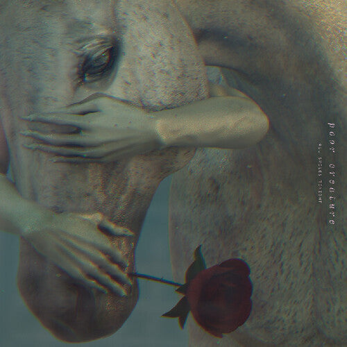 Poor Creature: All Smiles Tonight - COMPACT DISCS
