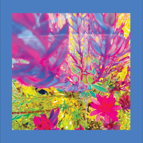 Reds Pinks & Purples: The Past is a Garden I Never Fed - COMPACT DISCS