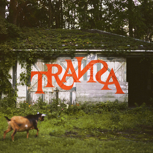 Various Artists: Transa (Various Artists) - VINYL LP