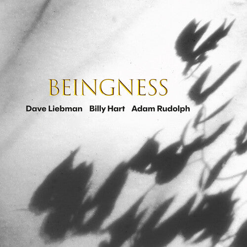 Liebman, Dave / Hart, Billy / Rudolph, Adam: Beingness - COMPACT DISCS