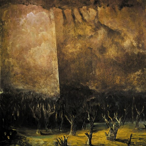 Tenebrae In Perpetuum: Vacuum Coeli - COMPACT DISCS