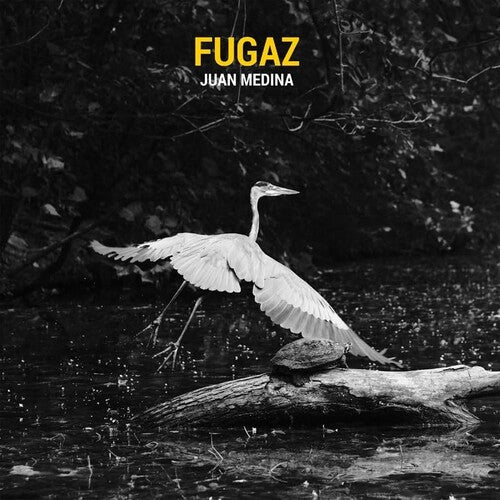 Medina, Juan: Fugaz - VINYL LP
