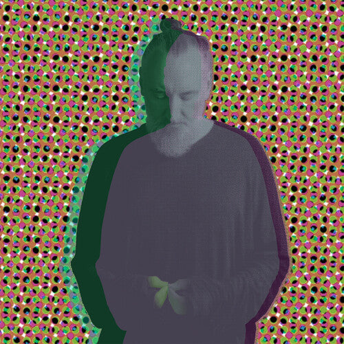 Fink: Beauty In Your Wake Acoustic - COMPACT DISCS