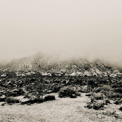 Mizmor: Mnemonic: Ambient Mosaic - VINYL LP