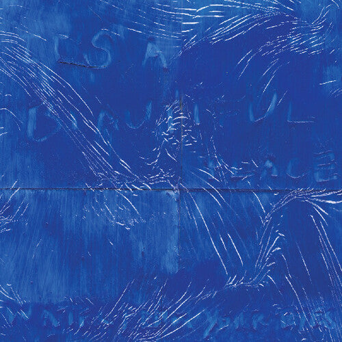 Water From Your Eyes: It's A Beautiful Place - VINYL LP